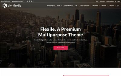 Flexile Theme